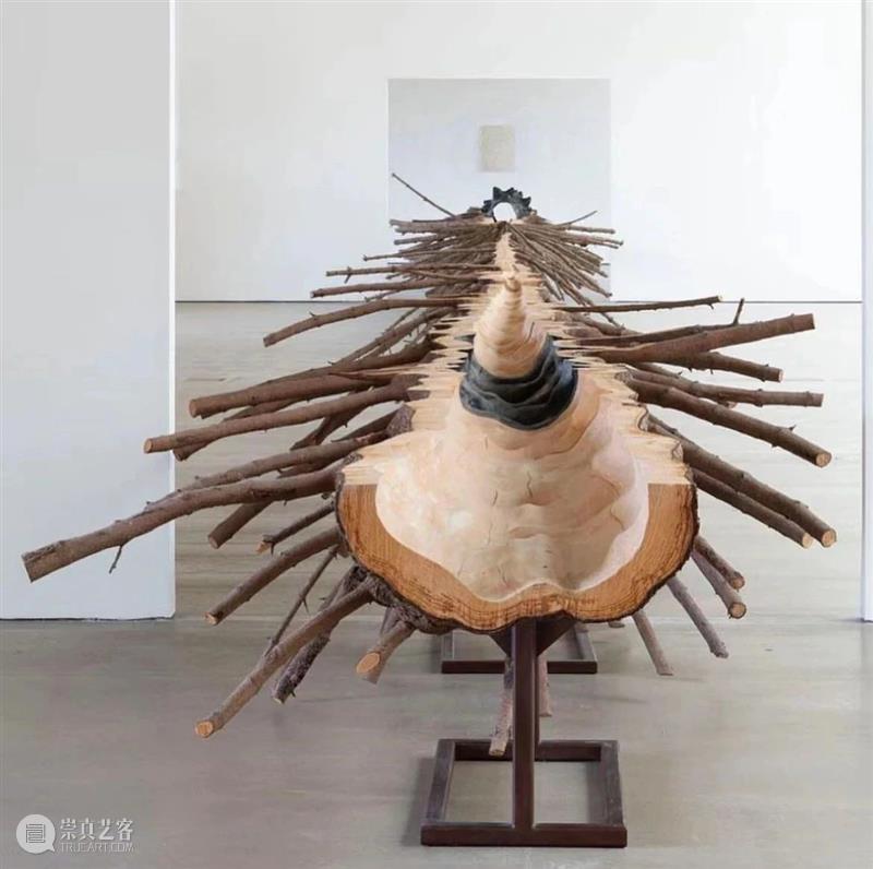 【IFA-艺术赏析】Giuseppe Penone | 抚摸自然，生命流转 崇真艺客