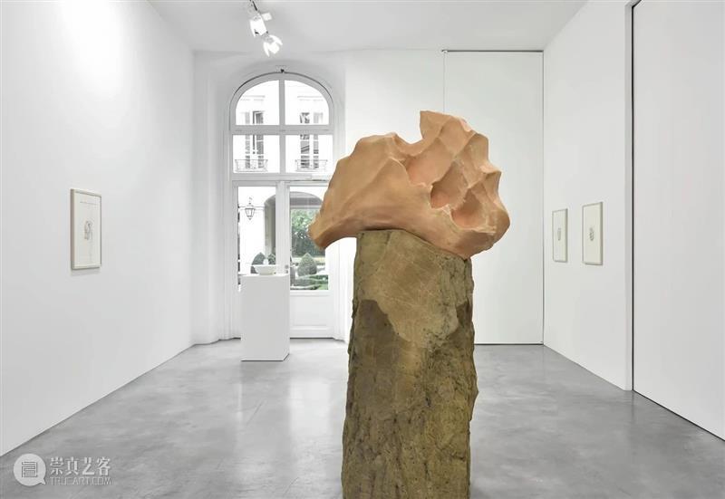 【IFA-艺术赏析】Giuseppe Penone | 抚摸自然，生命流转 崇真艺客
