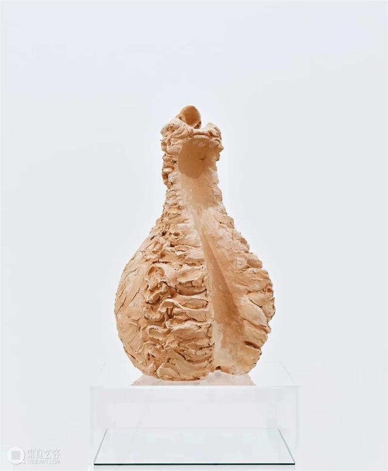 【IFA-艺术赏析】Giuseppe Penone | 抚摸自然，生命流转 崇真艺客