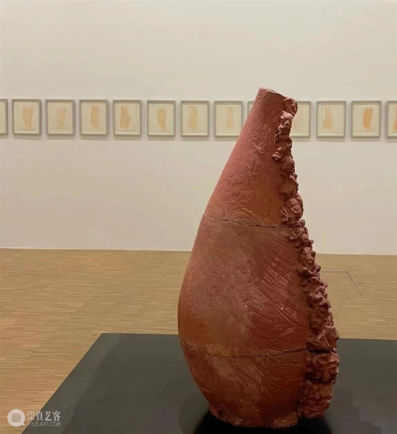 【IFA-艺术赏析】Giuseppe Penone | 抚摸自然，生命流转 崇真艺客