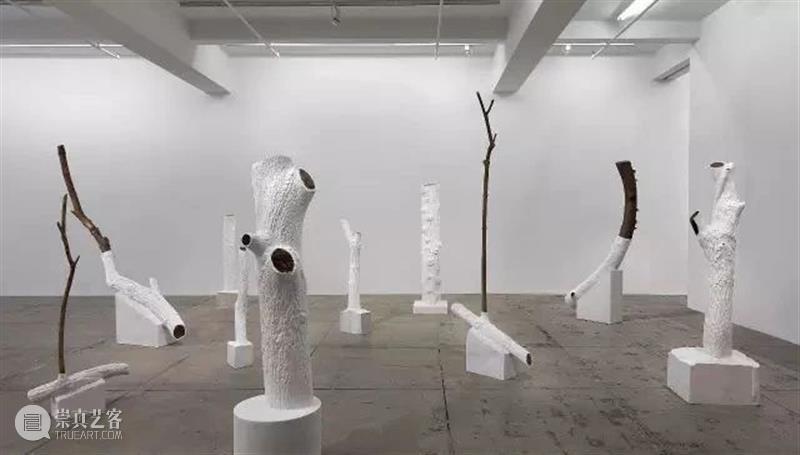 【IFA-艺术赏析】Giuseppe Penone | 抚摸自然，生命流转 崇真艺客