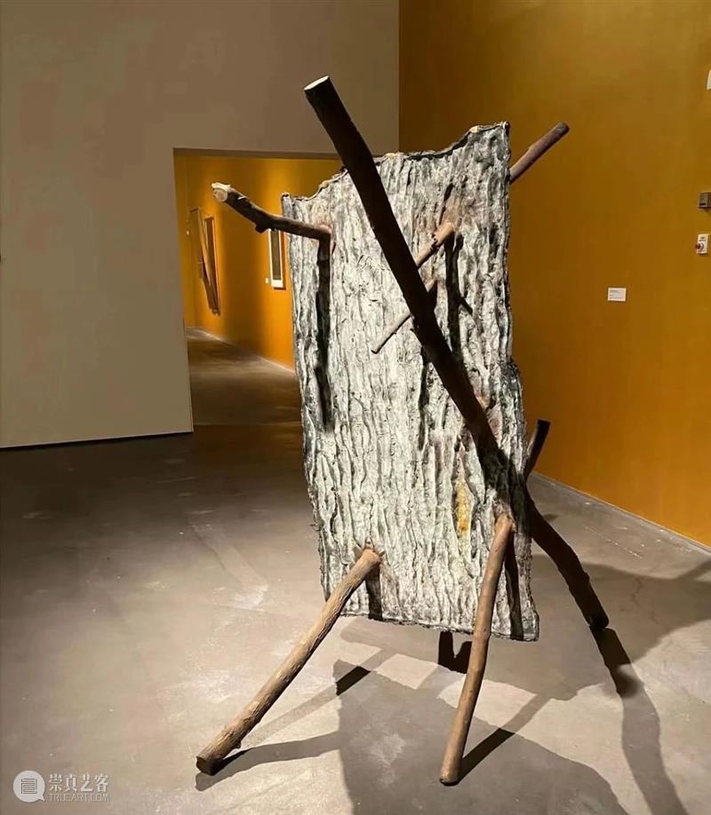 【IFA-艺术赏析】Giuseppe Penone | 抚摸自然，生命流转 崇真艺客