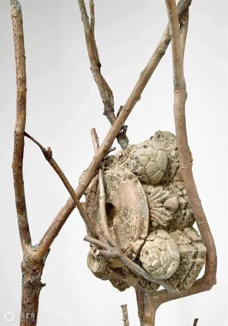 【IFA-艺术赏析】Giuseppe Penone | 抚摸自然，生命流转 崇真艺客