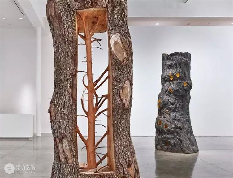 【IFA-艺术赏析】Giuseppe Penone | 抚摸自然，生命流转 崇真艺客
