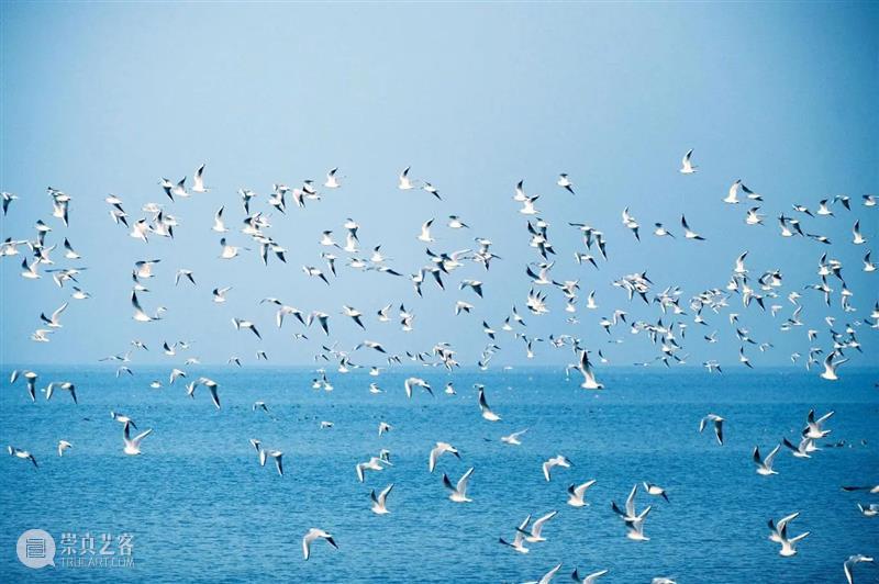 济宁市美术馆高校探索营——中国海洋大学三天两夜研学游 崇真艺客