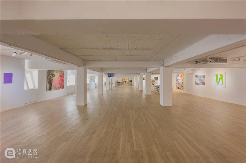 蓝骑士上海｜刘莉铭 征件展青年艺术家 15/25 希望是个有羽毛的东西 崇真艺客