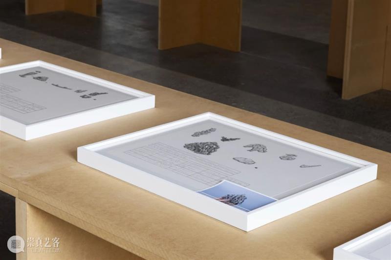 正在展出｜北京公社正在展出常羽辰个展《珊瑚辞典（60句）》 崇真艺客