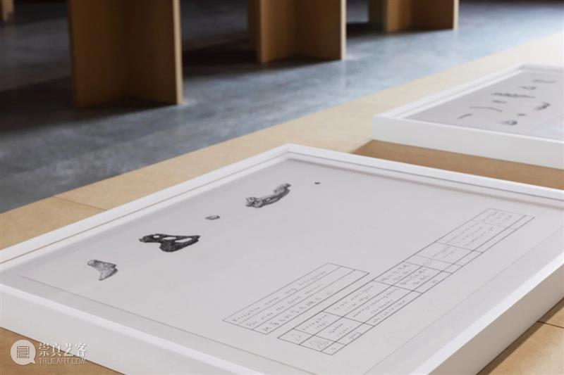 正在展出｜北京公社正在展出常羽辰个展《珊瑚辞典（60句）》 崇真艺客