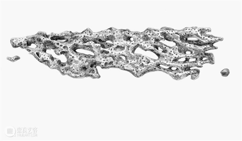 正在展出｜北京公社正在展出常羽辰个展《珊瑚辞典（60句）》 崇真艺客