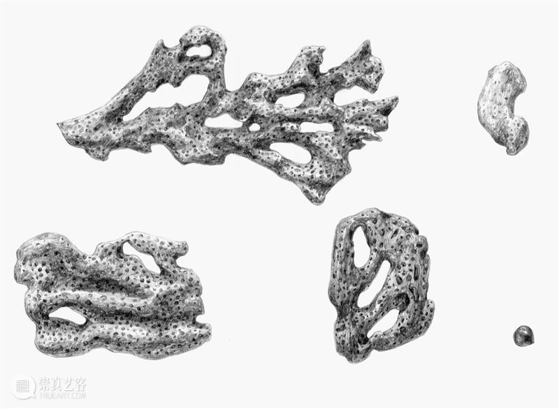 正在展出｜北京公社正在展出常羽辰个展《珊瑚辞典（60句）》 崇真艺客