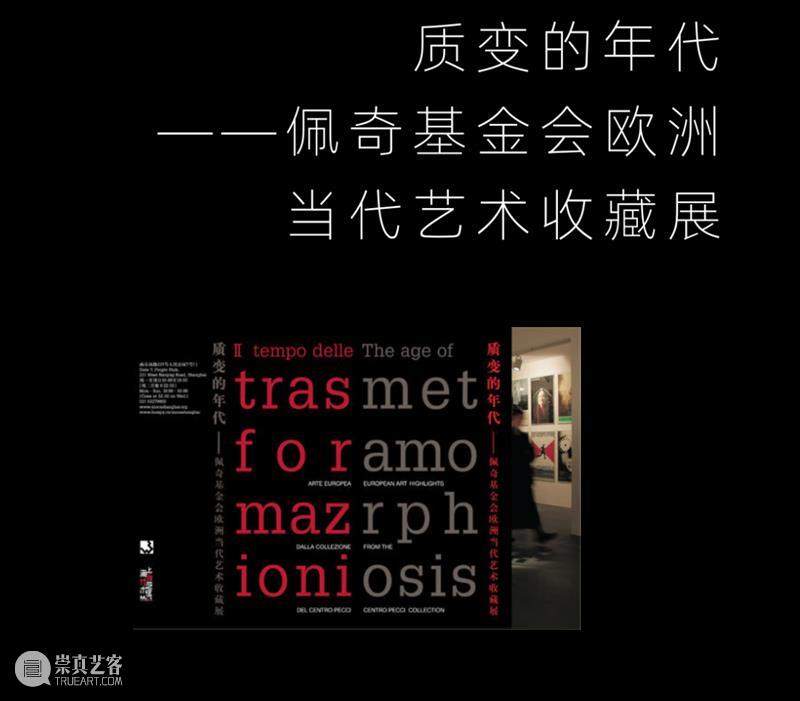 MoCA 馆庆 | 与“龙”共舞十九年 崇真艺客
