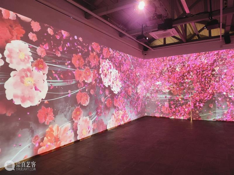 “不喜平庸——齐白石的艺术世界”在中央文化和旅游管理干部学院开幕 崇真艺客