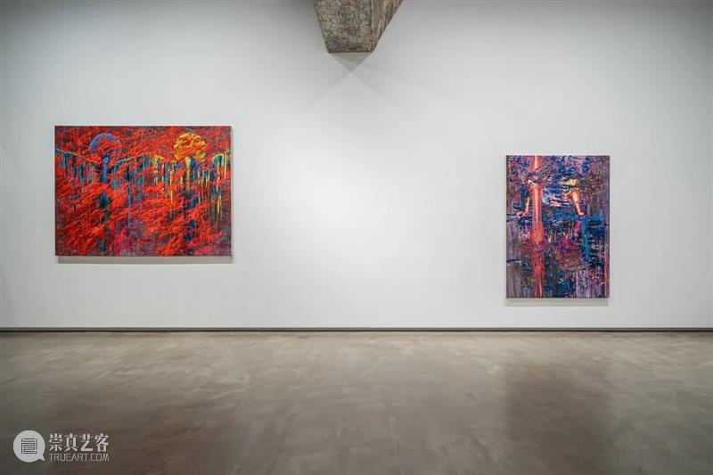 白石画廊北京｜开幕现场：迟鹏个展《上下限》 崇真艺客