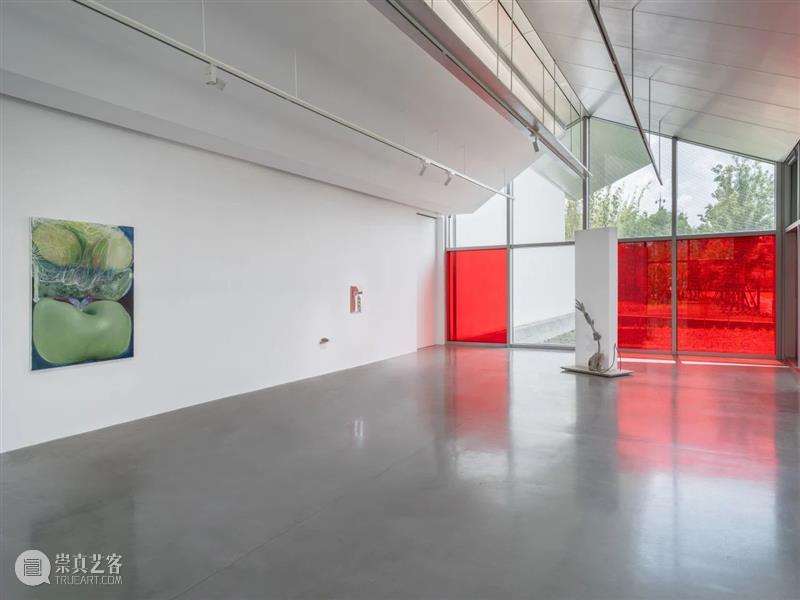 佩斯画廊宣布代理中国新锐艺术家李黑地 将于明年举办首次香港个展 崇真艺客