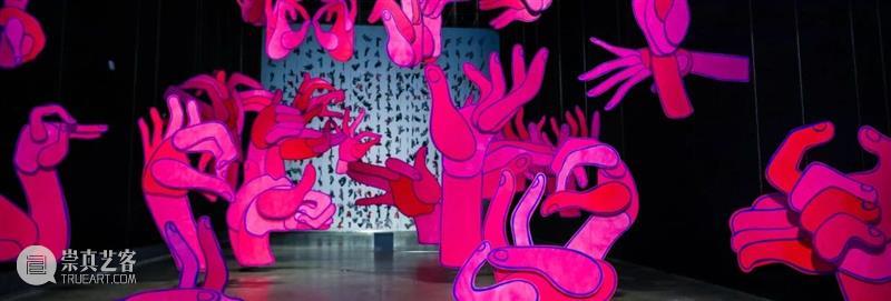 MOCA 没顶放映计划·生命处方｜影片排期 崇真艺客