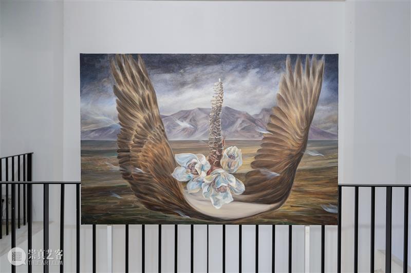 蓝骑士上海｜洪恺 征件展青年艺术家 23/25 希望是个有羽毛的东西 崇真艺客