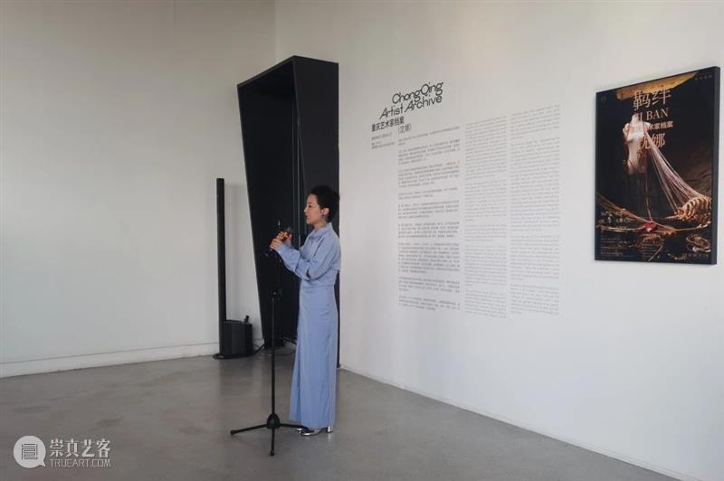 展览开幕|“重庆艺术家档案”系列展览:羁绊——沈娜个展 崇真艺客