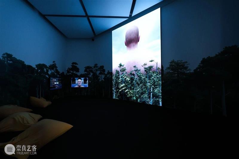 HOW AI+数字艺术年|「未来生命档案」正式开幕,策展人视角揭秘展览 崇真艺客