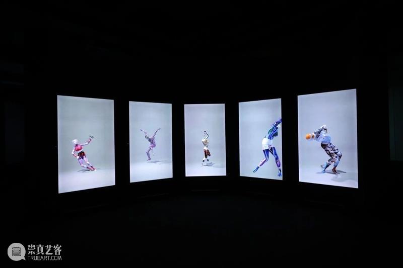HOW AI+数字艺术年|「未来生命档案」正式开幕,策展人视角揭秘展览 崇真艺客
