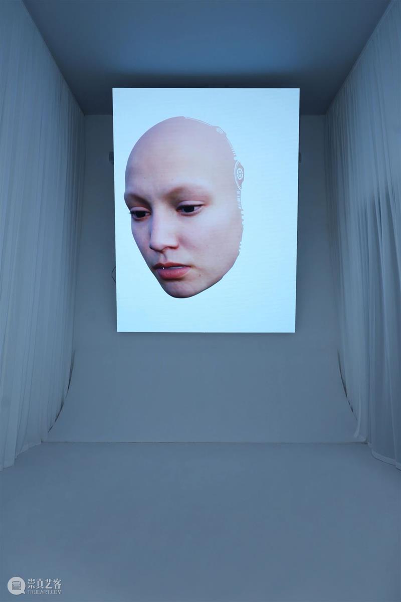 HOW AI+数字艺术年|「未来生命档案」正式开幕,策展人视角揭秘展览 崇真艺客