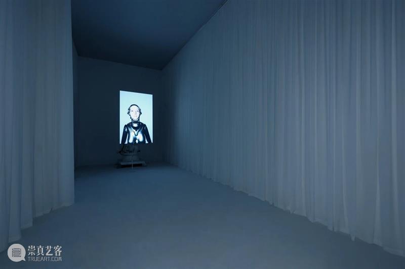HOW AI+数字艺术年|「未来生命档案」正式开幕,策展人视角揭秘展览 崇真艺客