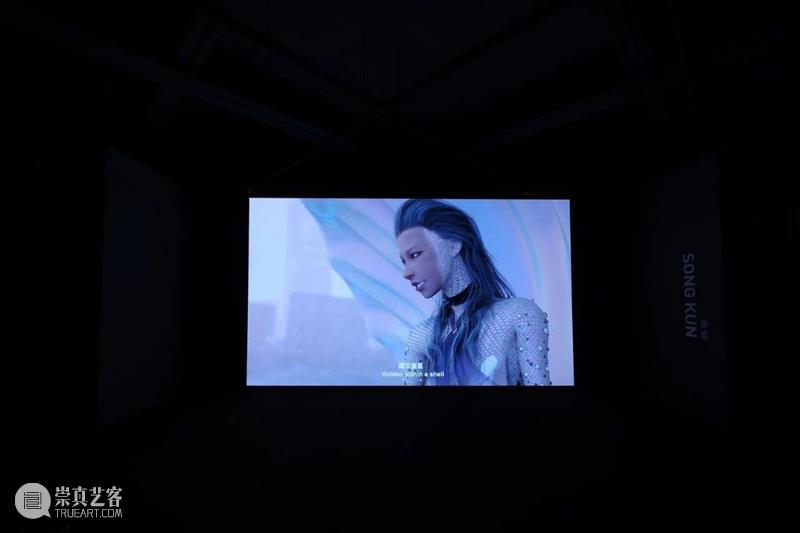 HOW AI+数字艺术年|「未来生命档案」正式开幕,策展人视角揭秘展览 崇真艺客