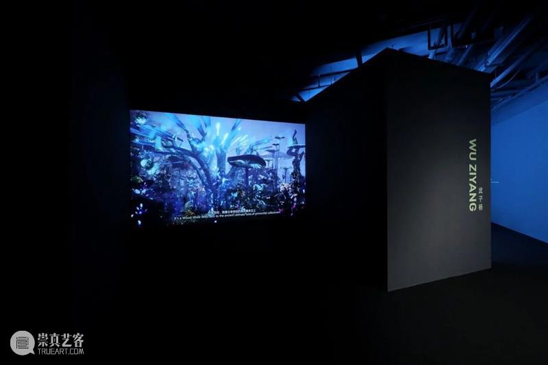 HOW AI+数字艺术年|「未来生命档案」正式开幕,策展人视角揭秘展览 崇真艺客