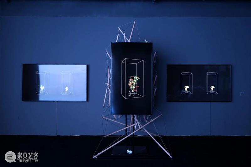 HOW AI+数字艺术年|「未来生命档案」正式开幕,策展人视角揭秘展览 崇真艺客