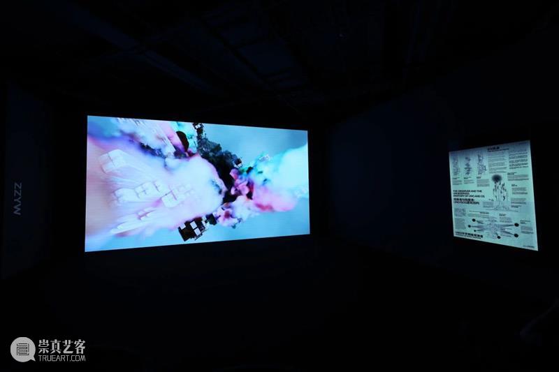 HOW AI+数字艺术年|「未来生命档案」正式开幕,策展人视角揭秘展览 崇真艺客