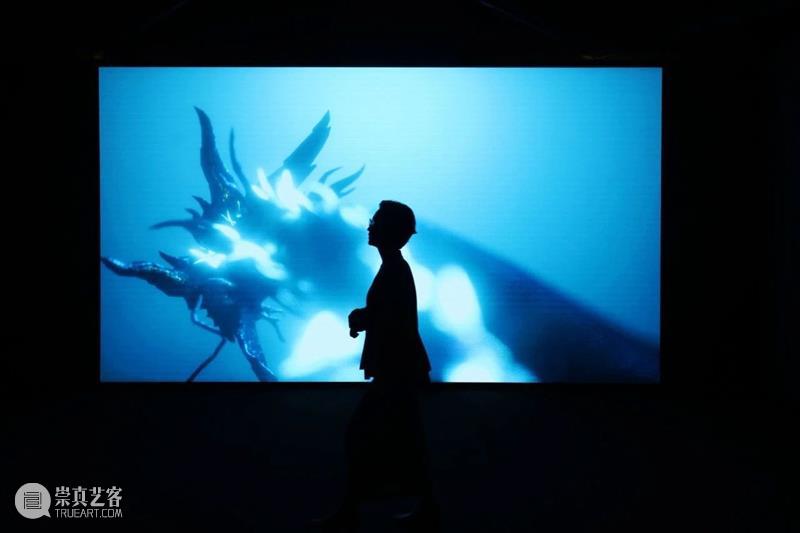 HOW AI+数字艺术年|「未来生命档案」正式开幕,策展人视角揭秘展览 崇真艺客