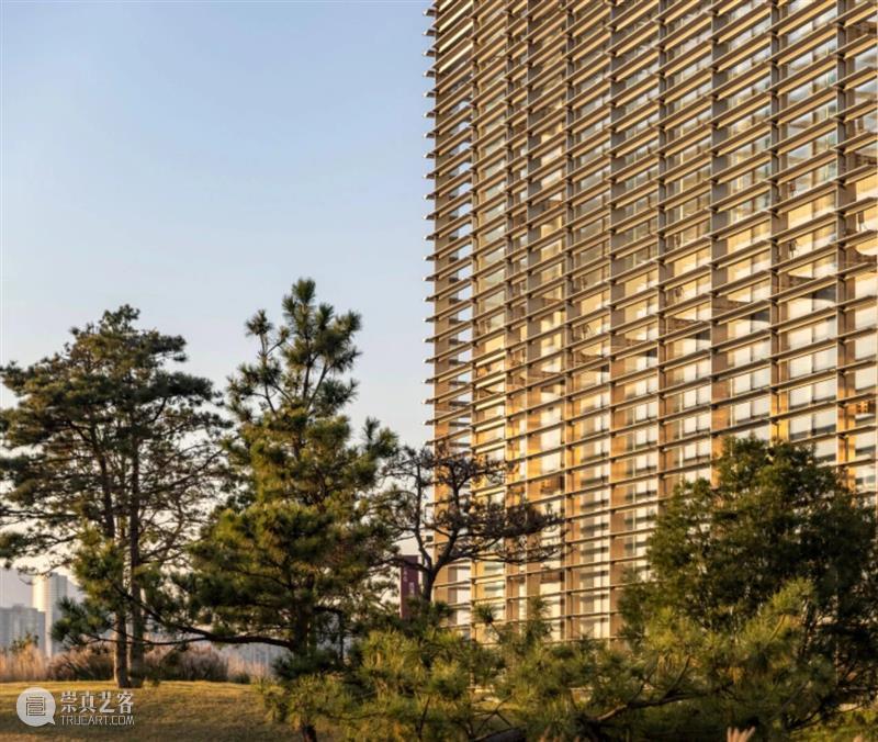 西海美术馆“跬步与徘徊：隋建国 1974-2024”开幕！ 崇真艺客
