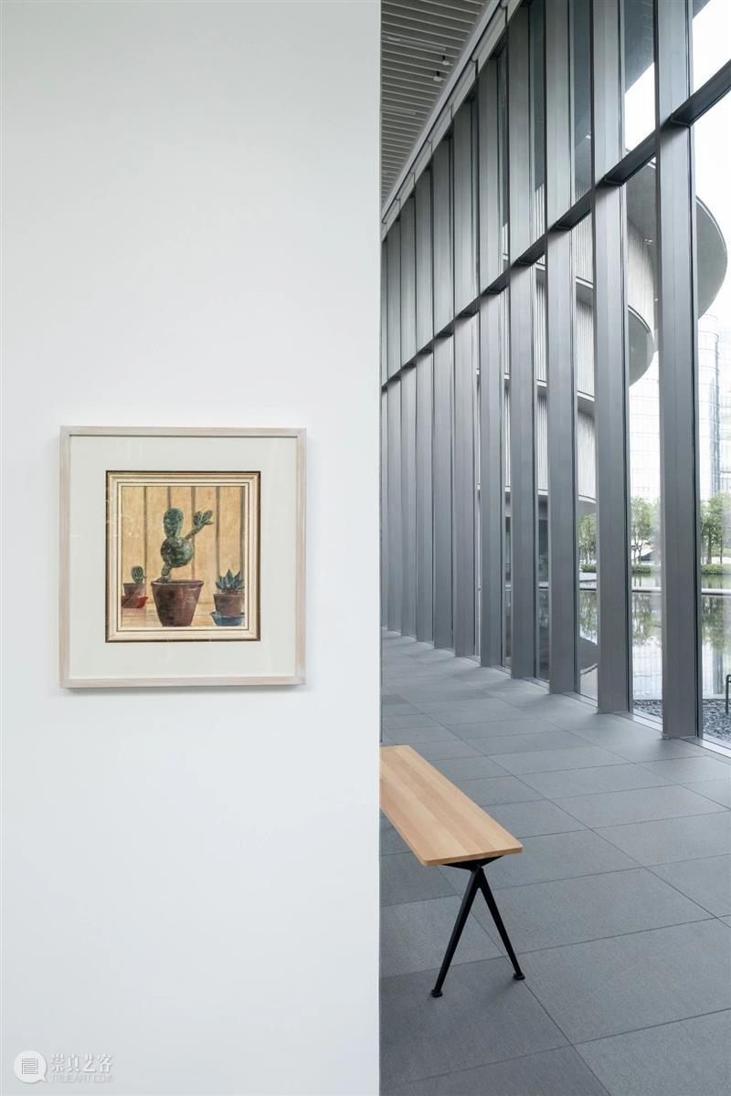 离开海水的地方｜HEM?展览 崇真艺客