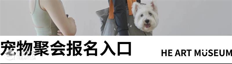 离开海水的地方｜HEM?展览 崇真艺客