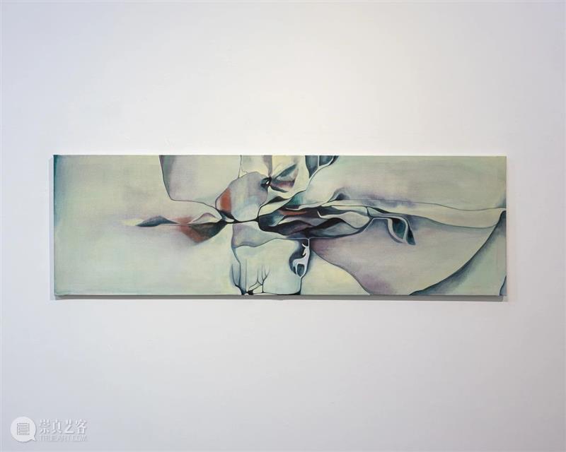 海外展讯 | 假期必打卡的艺术展览 崇真艺客