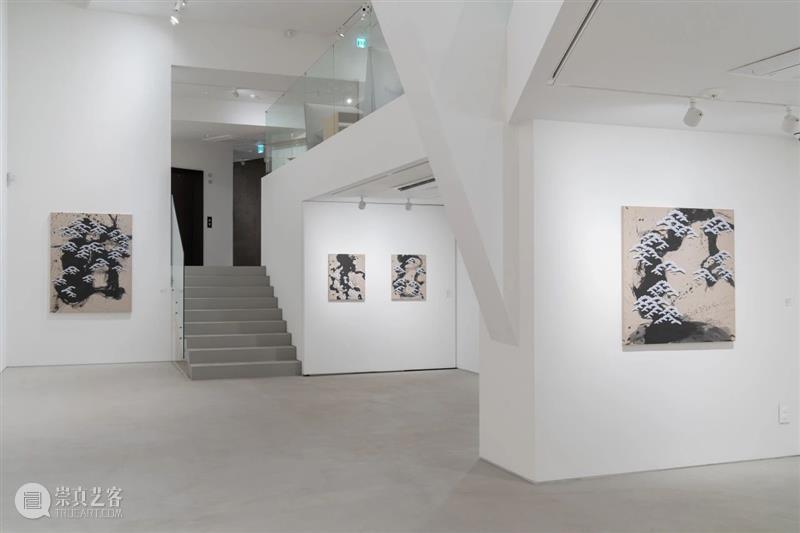 海外展讯 | 假期必打卡的艺术展览 崇真艺客