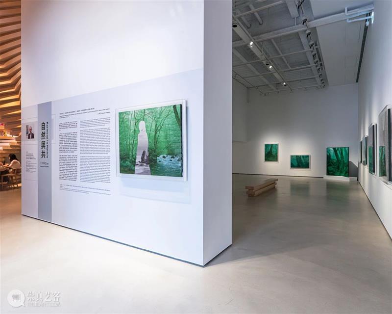 海外展讯 | 假期必打卡的艺术展览 崇真艺客