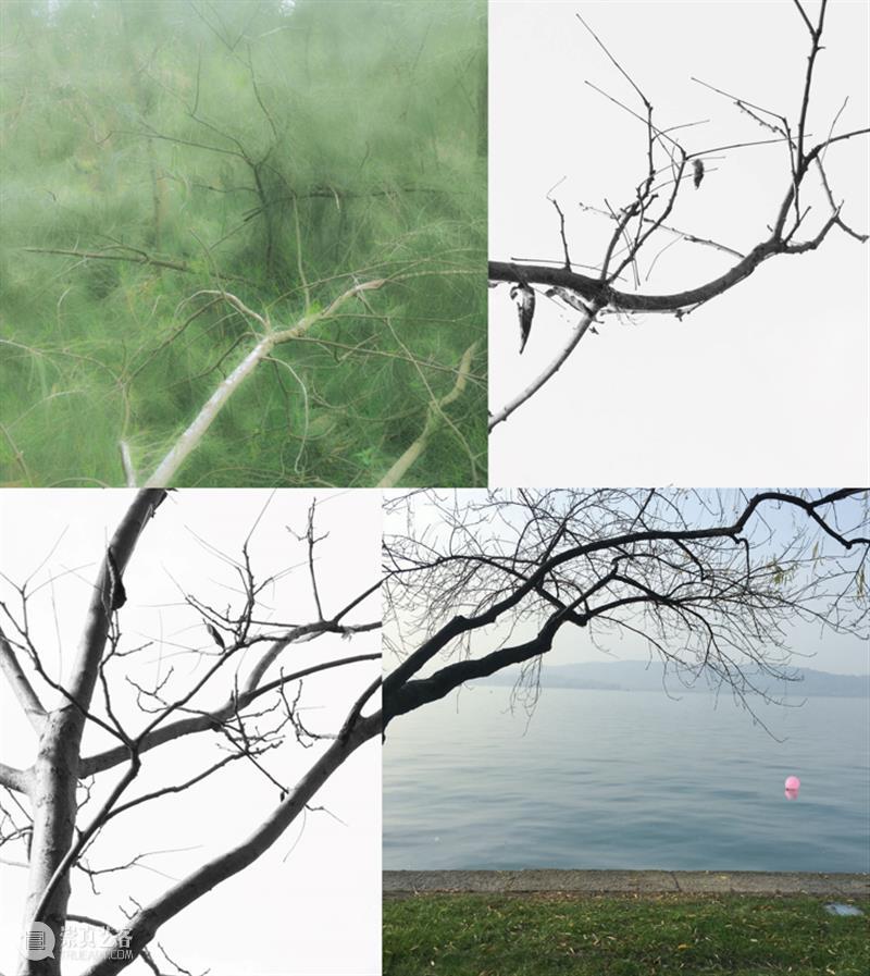 CYE 节气日历 | 寒露 × 董怡:风寒露凝,气冷疑秋 崇真艺客