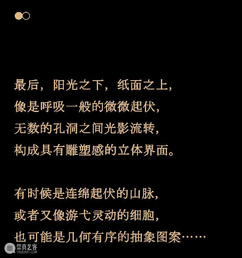 付小桐：光影流转，以微观之孔塑造万物秩美 | 时尚芭莎艺术 崇真艺客