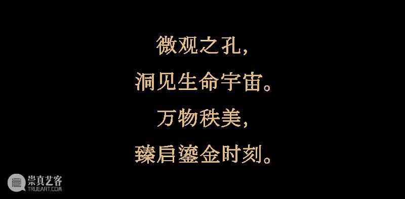 付小桐：光影流转，以微观之孔塑造万物秩美 | 时尚芭莎艺术 崇真艺客