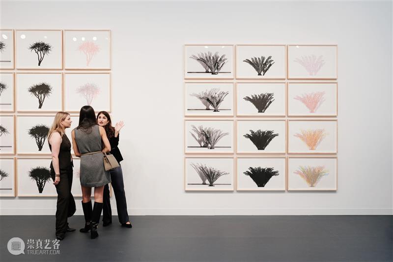 弗里兹_艺术热浪聚焦伦敦 | 国家美术·关注 崇真艺客