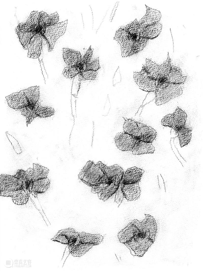 Ropac 萨尔茨堡展览｜亚历克斯·卡茨（Alex Katz）：花卉日记 崇真艺客