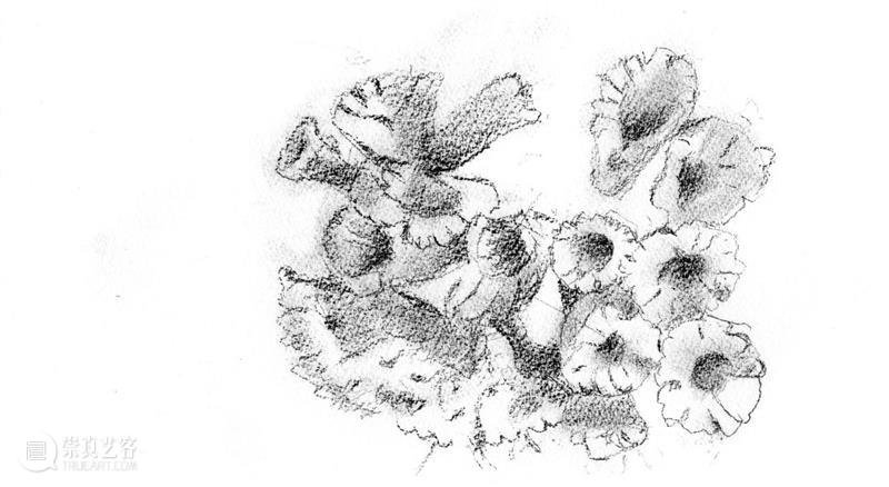 Ropac 萨尔茨堡展览｜亚历克斯·卡茨（Alex Katz）：花卉日记 崇真艺客