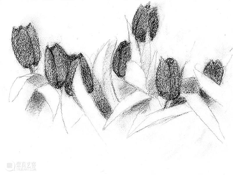 Ropac 萨尔茨堡展览｜亚历克斯·卡茨（Alex Katz）：花卉日记 崇真艺客