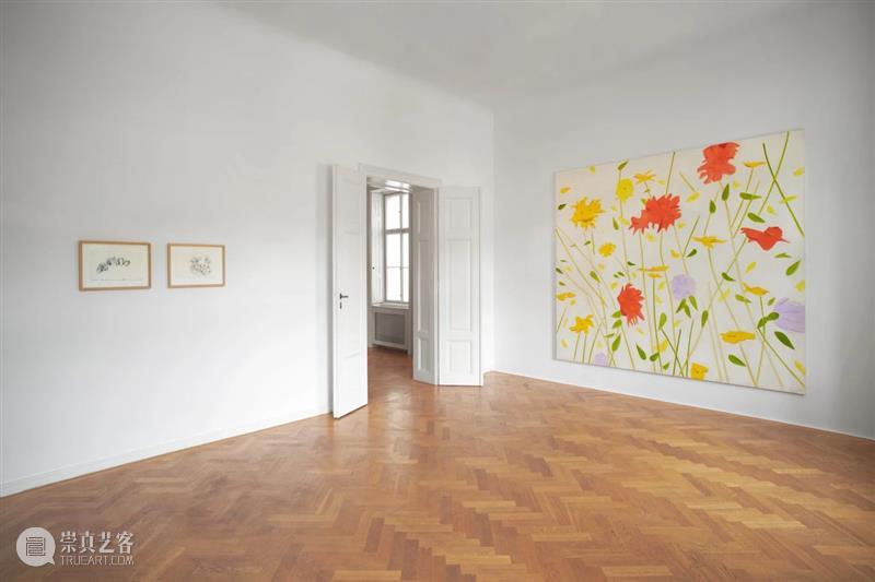 Ropac 萨尔茨堡展览｜亚历克斯·卡茨（Alex Katz）：花卉日记 崇真艺客