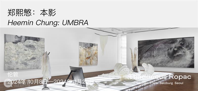 Ropac 萨尔茨堡展览｜亚历克斯·卡茨（Alex Katz）：花卉日记 崇真艺客