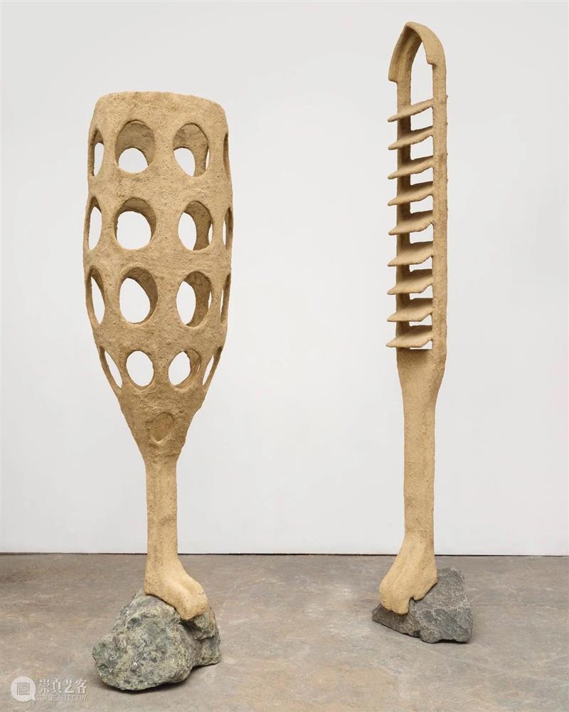 立木纽约|奥伦·皮纳西个展“失面”,放大人与环境共生关系的奇异空间 崇真艺客