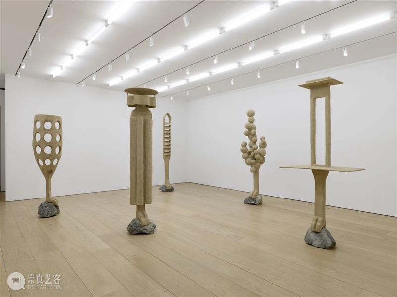 立木纽约|奥伦·皮纳西个展“失面”,放大人与环境共生关系的奇异空间 崇真艺客