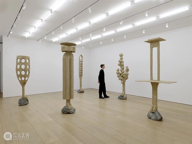 立木纽约|奥伦·皮纳西个展“失面”,放大人与环境共生关系的奇异空间 崇真艺客