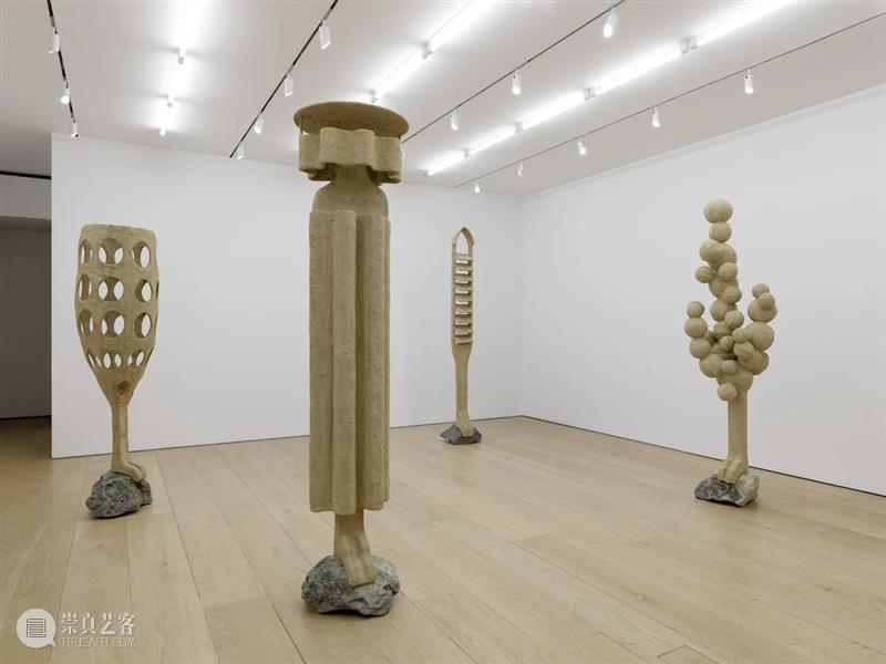 立木纽约|奥伦·皮纳西个展“失面”,放大人与环境共生关系的奇异空间 崇真艺客