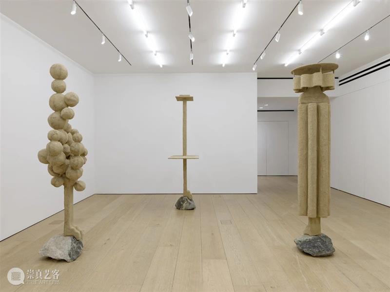 立木纽约|奥伦·皮纳西个展“失面”,放大人与环境共生关系的奇异空间 崇真艺客